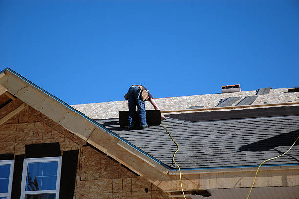 Best Roof Gutter Cleaning  in Bastrop, LA